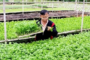 Bộ Y tế phát động chiến dịch tuần lễ dinh dưỡng và phát triển