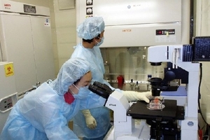 Việt Nam có 4 nơi đủ khả năng xét nghiệm xác định virus Ebola