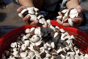 Kỷ luật cán bộ, đảng viên liên quan sai phạm tại HTX Đồng Tâm