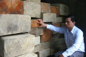 Thanh Hóa: Bắt giữ 7 xe máy dùng để vận chuyển gỗ trái phép