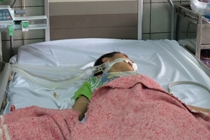 Ăn sắn cao sản nướng, bé trai bị hôn mê