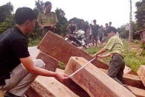 Bình Phước: Phát hiện 40 khối gỗ lậu ở khu vực biên giới