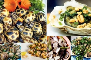 Ăn ốc biển, 2 trẻ nguy kịch, 1 trẻ đã tử vong