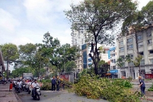 Tây Ban Nha hỗ trợ TP.HCM nghiên cứu xây tuyến Metro số 5