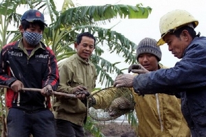 Nâng cao cảnh giác ngăn ngừa dịch hạch xâm nhập vào Việt Nam