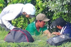 Hậu vấn nạn ma túy ở TP.HCM (Kỳ 1): Bối rối với con nghiện