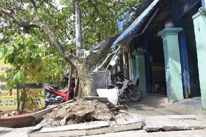 Xe container bỏ chạy sau khi đâm đổ cây đè lên nhà dân