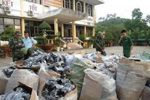 Quảng Ninh: Bắt giữ lô hàng lậu lớn từ Trung Quốc
