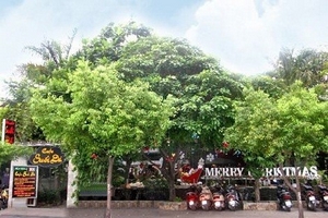 Vụ án 175 Nam Kỳ Khởi Nghĩa: Quan tòa quên, hay “bỏ qua” những chứng cứ xác đáng