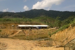 Loạt bài “Phá rừng để trồng rừng” (kỳ 1): Phá rừng phòng hộ làm trang trại,  chính quyền chậm xử lý?