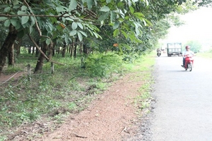 Đoạt mạng tình địch do cuồng ghen