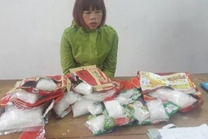 Vận chuyển thuê gần 4kg ma tuý đá vì...nhà khó khăn