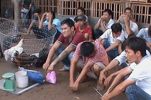 TP HCM: Đột kích trường gà, tịch thu hơn 60 triệu cùng nhiều tang vật