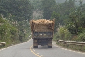 Thanh Hóa: Ban hành chỉ thị ngăn chặn xe quá khổ, quá tải