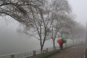 Miền Bắc rét hại, vùng núi có thể xuất hiện băng giá