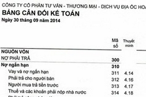 Doanh thu giảm 97%, Công ty Hoàng Quân nợ trên 2.277 tỷ đồng