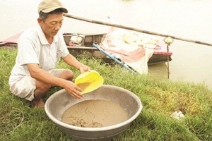 Nuôi trứng nước ở miền Tây: “làm chơi, ăn thật”