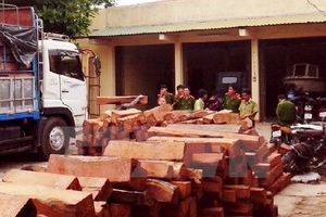 Bắt quả tang vụ vận chuyển trái phép gỗ quý hiếm ở Quảng Nam