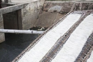 Miến "bẩn" hối hả chạy Tết