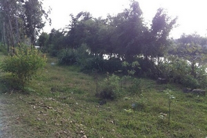 Bé gái 9 tuổi và buổi đi học kinh hoàng khi gặp tên “ngáo đá”