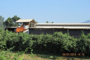 Bất chấp quyết định tháo dỡ, cơ sở chế biến chè vi phạm vẫn ngang nhiên hoạt động