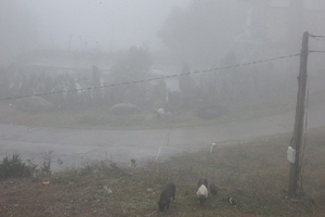 Tuyết bắt đầu tan tại Sa Pa