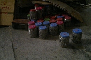 Chế biến thuốc chữa thần kinh,  đau nhức từ… ngô rang, mật mía