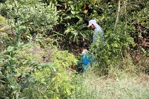 Bàng hoàng thấy thi thể chồng dưới đầm lầy sau hai ngày mất tích