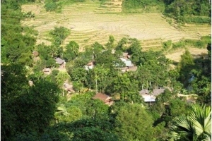 Thanh Hóa: Gần 7 nghìn người nhiễm HIV/AIDS