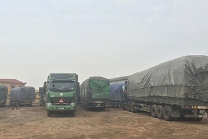 1 đêm phạt xe quá tải gần 600 triệu đồng