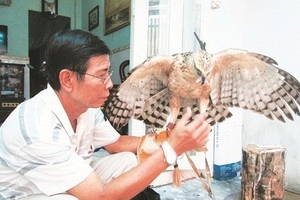 Thú chơi chim "vua"