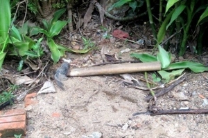 Người mẹ bất hạnh nhận 11 nhát búa của đứa con bất nhân