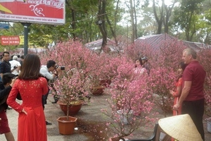 TP.HCM: Nạn trộm cắp vào dịp Tết Nguyên đán giảm đáng kể