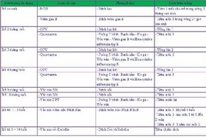 Tránh để trẻ mắc bệnh truyền nhiễm do không tiêm vắc xin đúng lịch