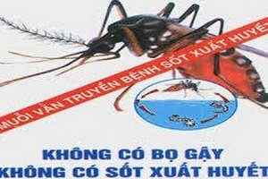 Bệnh sốt xuất huyết xuất hiện ở nhiều tỉnh, thành