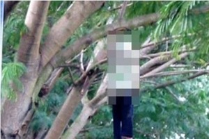 Nam thanh niên thắt cổ tự tử trên cành cây trâm
