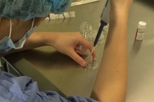 Mang thai hộ: Vấn đề còn nhiều băn khoăn