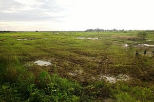 Giám đốc công ty bị bắt vì nhận hối lộ