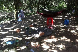 Vĩnh Long: Đập đầu bạn nhậu bằng búa