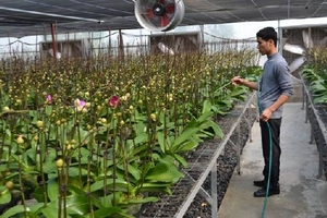 Thấy gì từ một số huyện điển hình xây dựng nông thôn mới của Hà Nội?