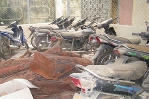 Thanh Hóa: Tăng cường kiểm tra, xử lý các vi phạm đối với lâm tặc