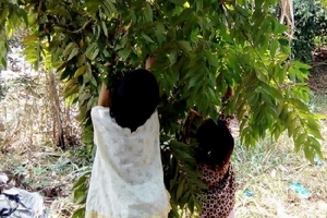 Vợ bỏ đi, chồng xâm hại cả hai con gái ruột