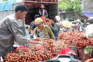 "Điệp khúc buồn" ngành nông sản: Tiếp theo là vải thiều và thanh long?