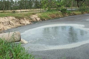 Lập hành lang bảo vệ nguồn nước phòng nguy cơ ô nhiễm