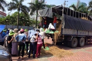 Nhóm Thiện Từ Tâm tiếp tục chương trình “Một trái dưa, hai ý nghĩa”
