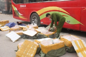 Ninh Bình thu giữ gần 6 tạ nội tạng động vật đã bốc mùi