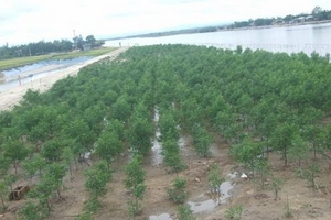 Quảng Trị: Ký kết biên bản hợp tác thúc đẩy các mô hình bảo vệ môi trường