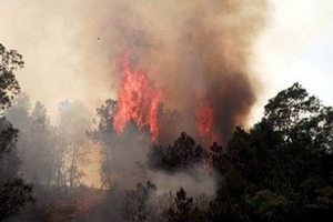 Thanh Hóa: Đám cháy bùng phát trở lại sau nhiều giờ khống chế