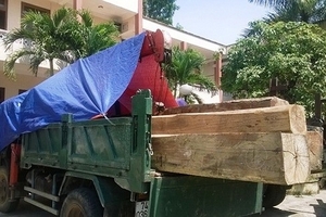 Quảng Trị: Bắt giữ hơn 8,3 m3 gỗ lậu của Hạt trưởng Hạt kiểm lâm