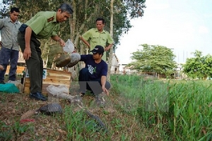 Tổ chức tái thả 35 cá thể tê tê java về Vườn Quốc gia Cát Tiên
